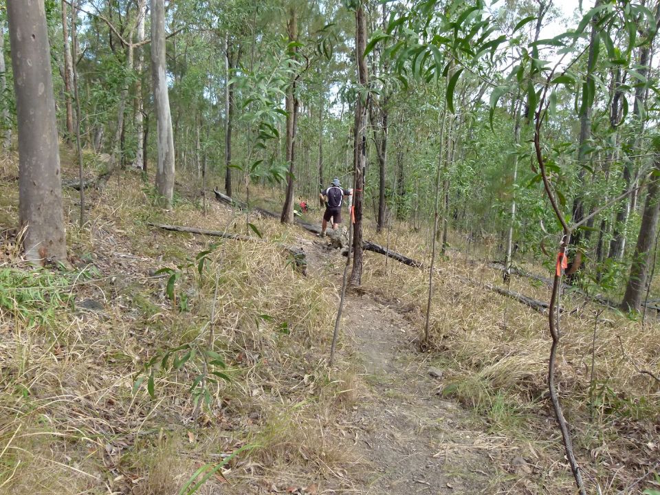 Scratchings before the trail tread is established